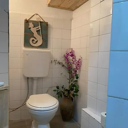 Apartment Nature Of Sea In The Center *